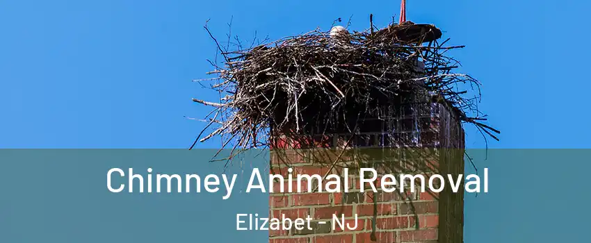 Chimney Animal Removal Elizabet - NJ