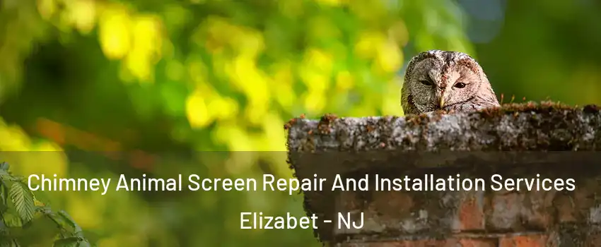 Chimney Animal Screen Repair And Installation Services Elizabet - NJ