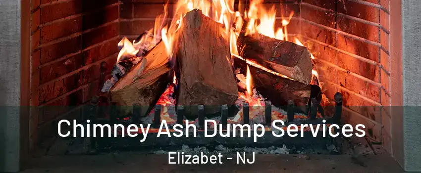 Chimney Ash Dump Services Elizabet - NJ