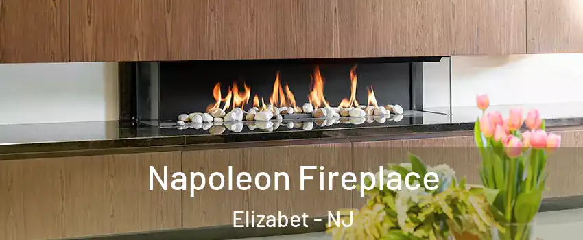 Napoleon Fireplace Elizabet - NJ